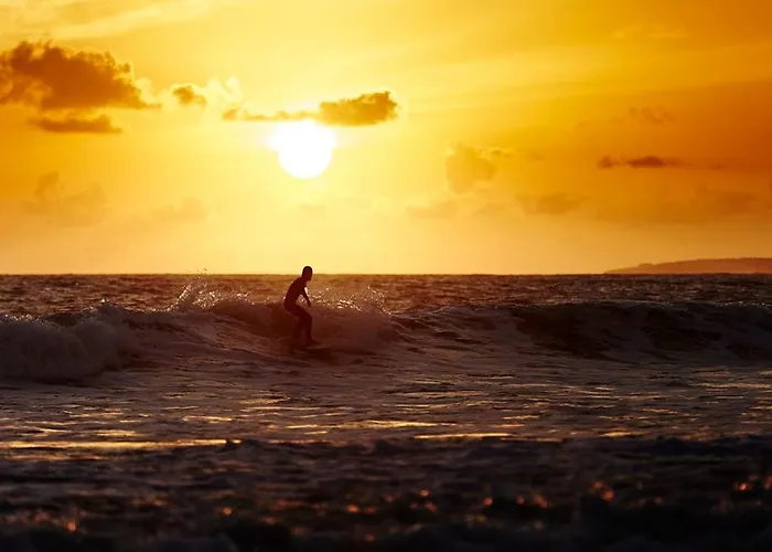 Maisonnette Calme Proche Avec Parking Et Animaux Admis - Fr-1-194-443 *